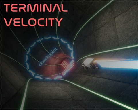 Terminal Velocity