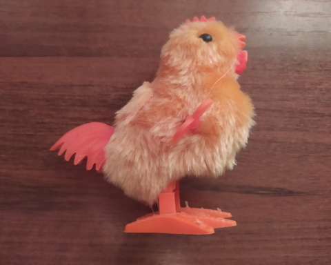 Hovering Bird