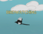 Birdwatching