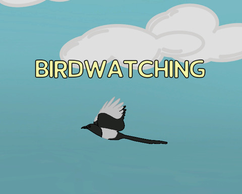 Birdwatching
