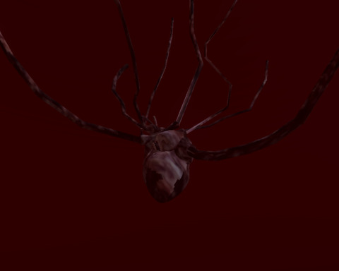 Heart of Infection