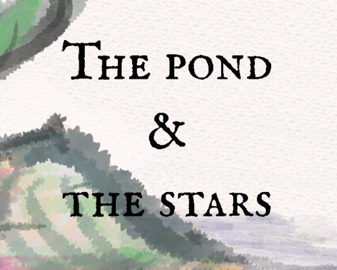 The pond & the stars