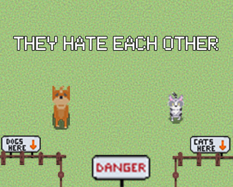 They hate each other !