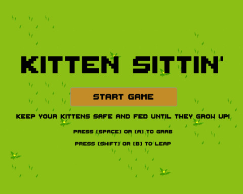 Kitten Sittin'