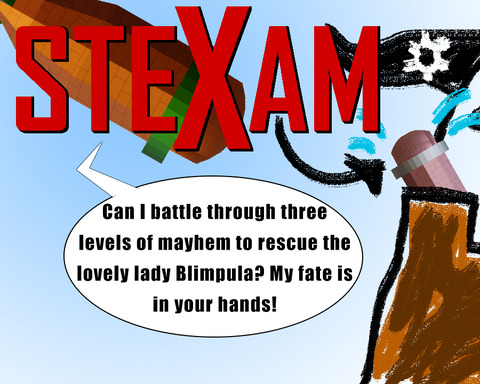 SteXam