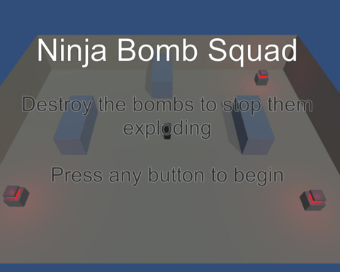 Ninja Bomb Squad