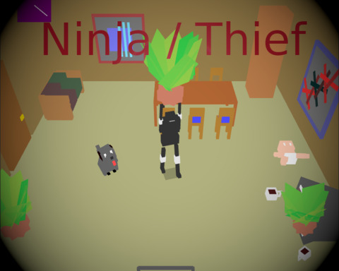 Ninja | Thief