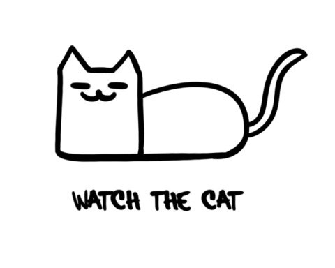 Watch the cat