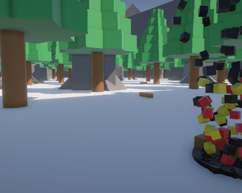 Frozen Forest