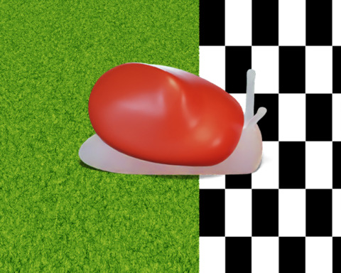 A Snail's Pace