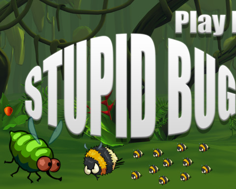 Stupid Bug