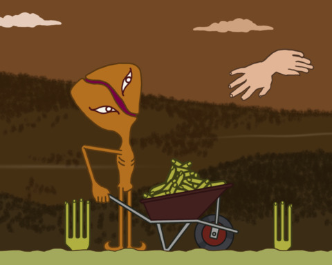 Tactile Harvest