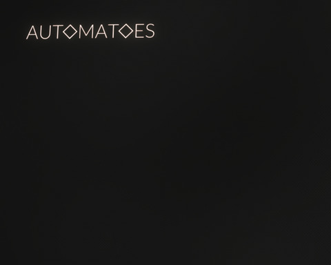 Automatoes
