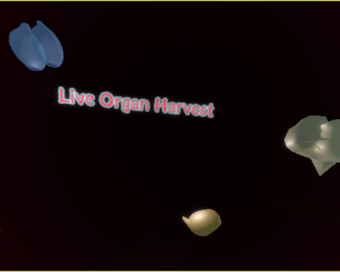Live Organ Harvest!