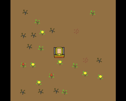 Cropland