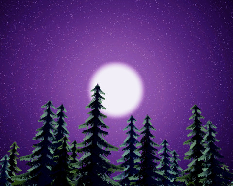 Midnight Harvest