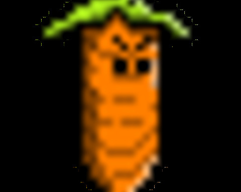 Carrot Season