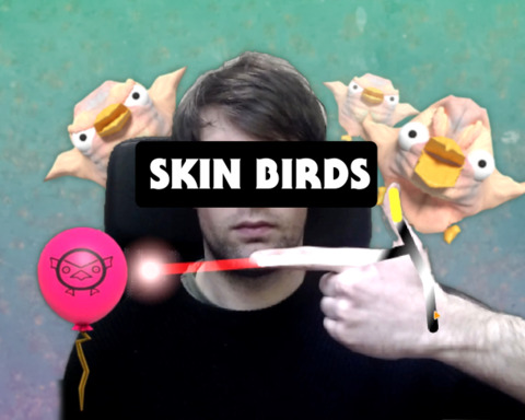 Skin Birds