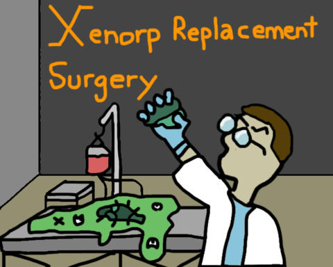 Xenorp Replacement Surgery