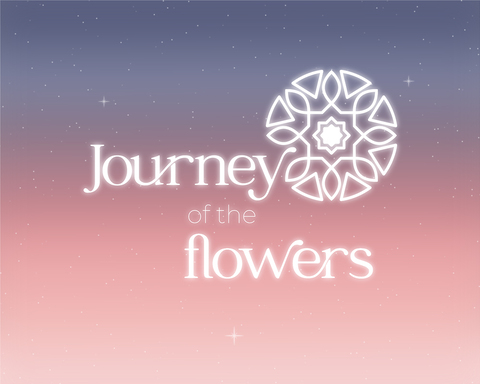 Journey of the flowers