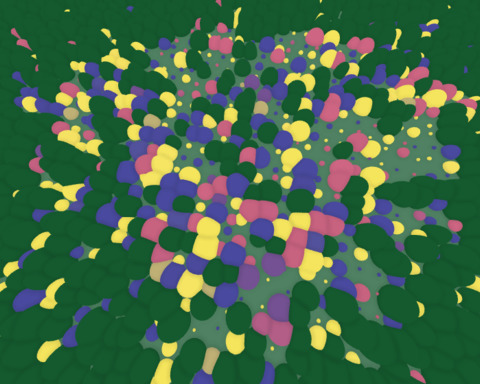 Color Picker