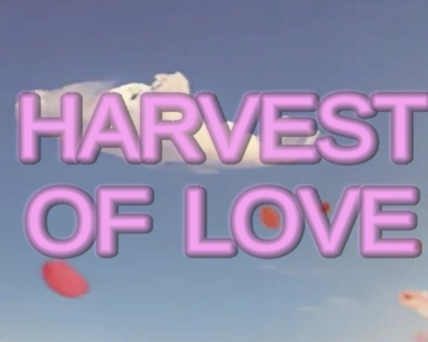 Harvest of Love
