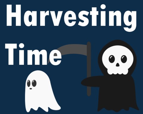 Harvesting Time