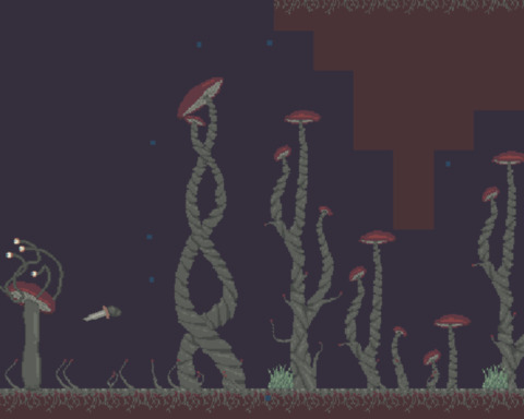 Manshroom Harvest