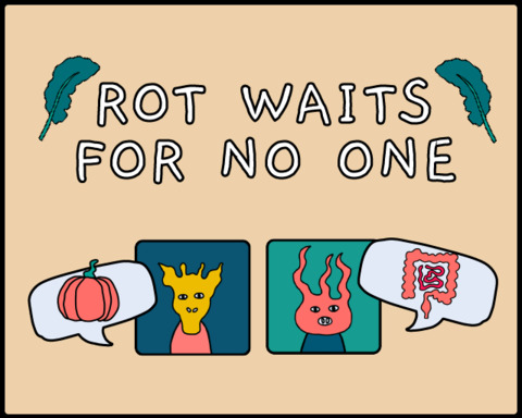 Rot Waits for No One