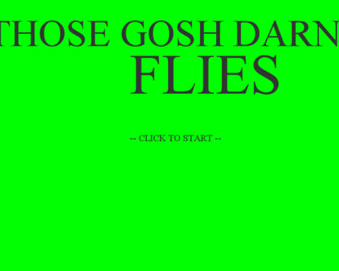 Those Gosh Darn Flies