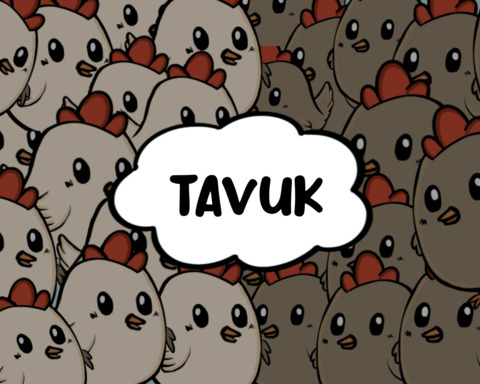 Tavuk