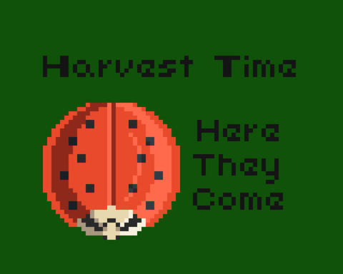 Harvest Time: Here They Come
