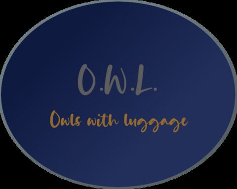 O.W.L. - Owls with luggage