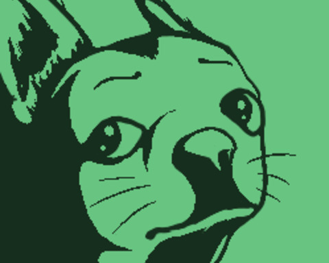 Papi's Delivery Ops: Cardbark Infiltration