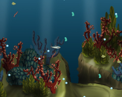 Sea Life