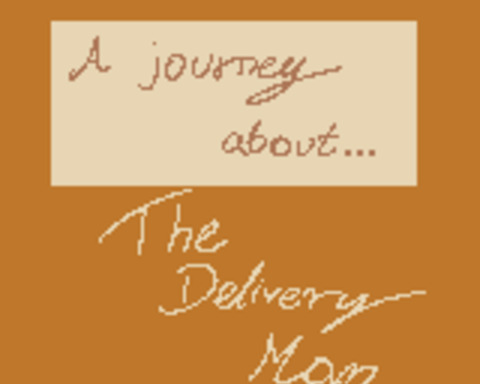 A journey about... The Delivery