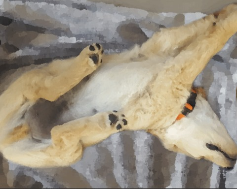 Give a Dog a Bone: Dog Petting Simulator