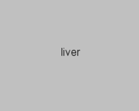 liver