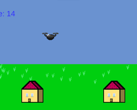 Drone Delivery