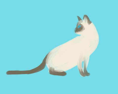 Cats Can Do That