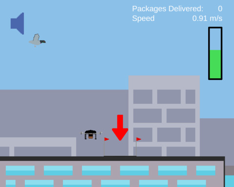 Express Delivery
