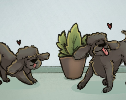 Doggo Delivery