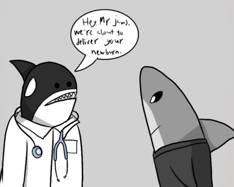 Dr. Orca's Delivery