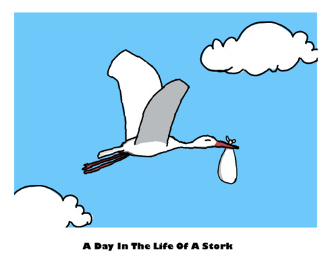 A Day In The Life of a Stork