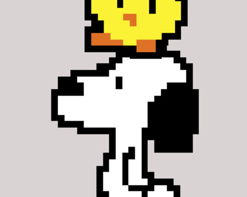 Bord