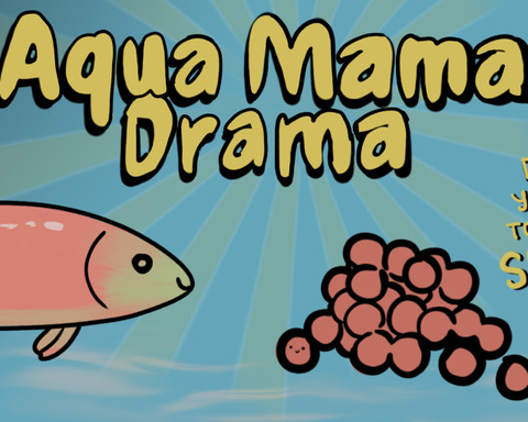 Aqua Mama Drama