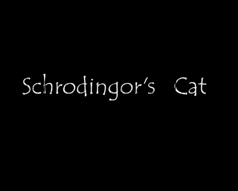 Schrodingor's Cat
