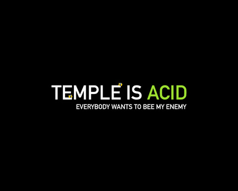 TEMPLE IS ACID (feat. Bees ๐)