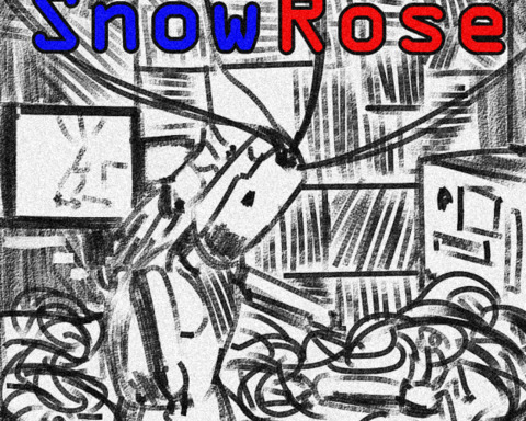 Snow Rose