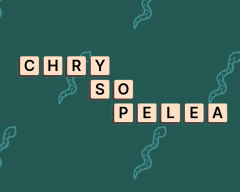 Chrysopelea